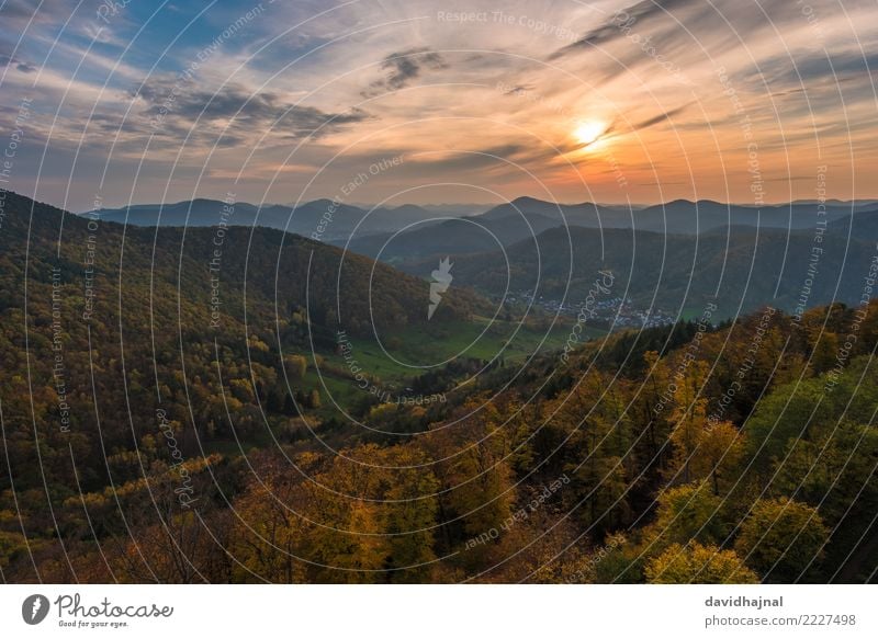 Pfälzerwald Ferien & Urlaub & Reisen Tourismus Ausflug Abenteuer Ferne Freiheit Sightseeing wandern Natur Landschaft Himmel Wolken Horizont Sonne Sonnenlicht