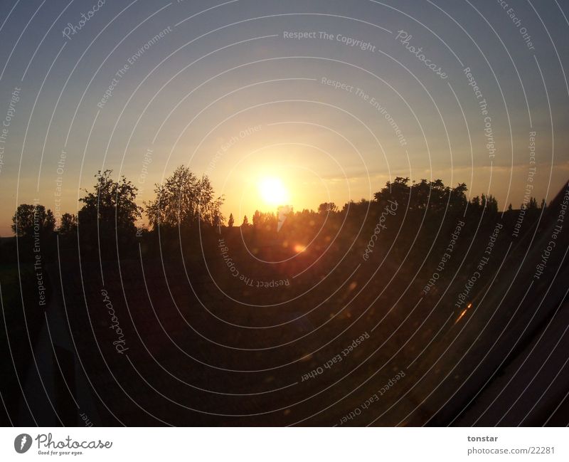 sonnenuntergang und schmutzige Scheibe Sonnenuntergang Fensterscheibe Baum Dachfenster Abend häuserdach