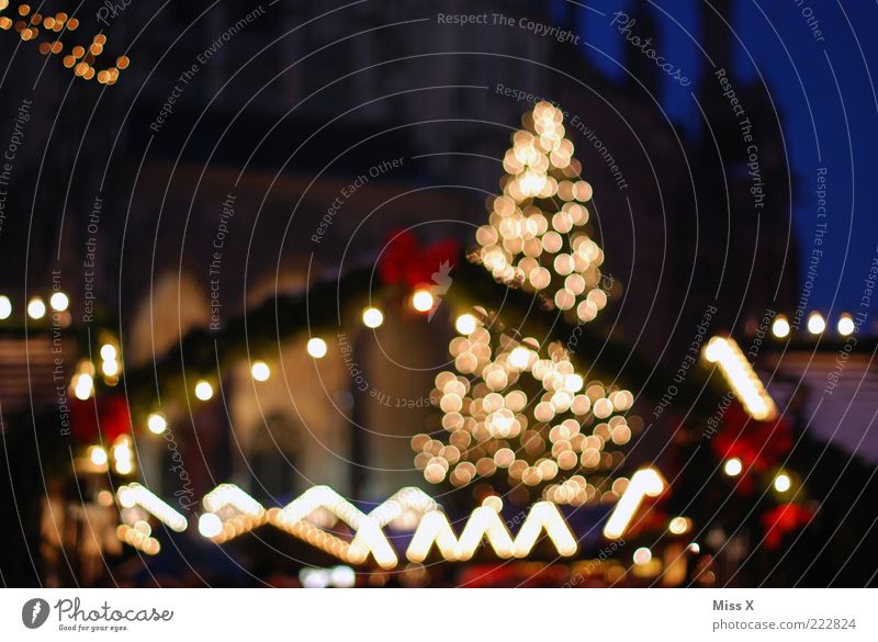 Ulmer Weihnachtsmarkt leuchten glänzend hell Weihnachtsbaum Markt Marktstand Platz Kirche Farbfoto mehrfarbig Außenaufnahme Dämmerung Nacht Kunstlicht Licht