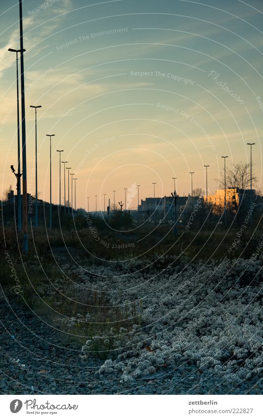 November Umwelt Natur Landschaft Erde Himmel Herbst Wetter Sträucher Platz Heimweh Fernweh Straßenbeleuchtung Bodendecker Farbfoto Gedeckte Farben Außenaufnahme