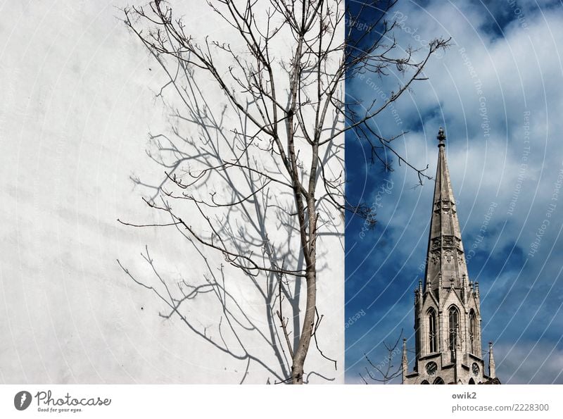 Merseburg Himmel Wolken Frühling Schönes Wetter Baum Zweige u. Äste Sachsen-Anhalt Deutschland Kleinstadt Altstadt bevölkert Kirche Bauwerk Gebäude