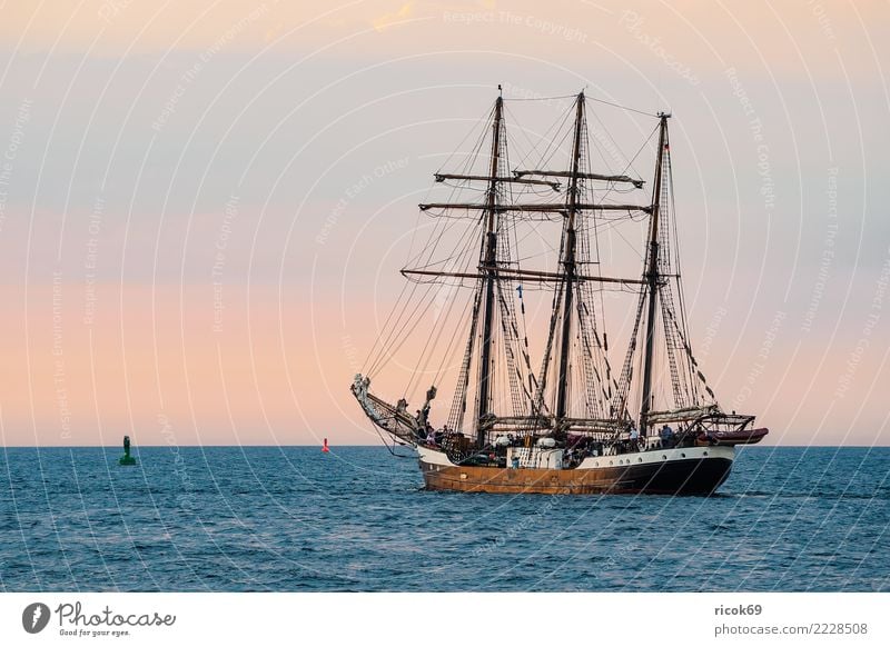 Segelschiff auf der Hanse Sail in Rostock Erholung Ferien & Urlaub & Reisen Tourismus Segeln Wasser Küste Ostsee Schifffahrt maritim Romantik Idylle Nostalgie