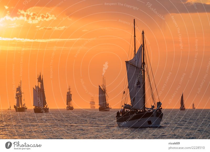 Segelschiffe auf der Hanse Sail in Rostock Erholung Ferien & Urlaub & Reisen Tourismus Segeln Wasser Wolken Küste Ostsee Schifffahrt maritim Romantik Idylle