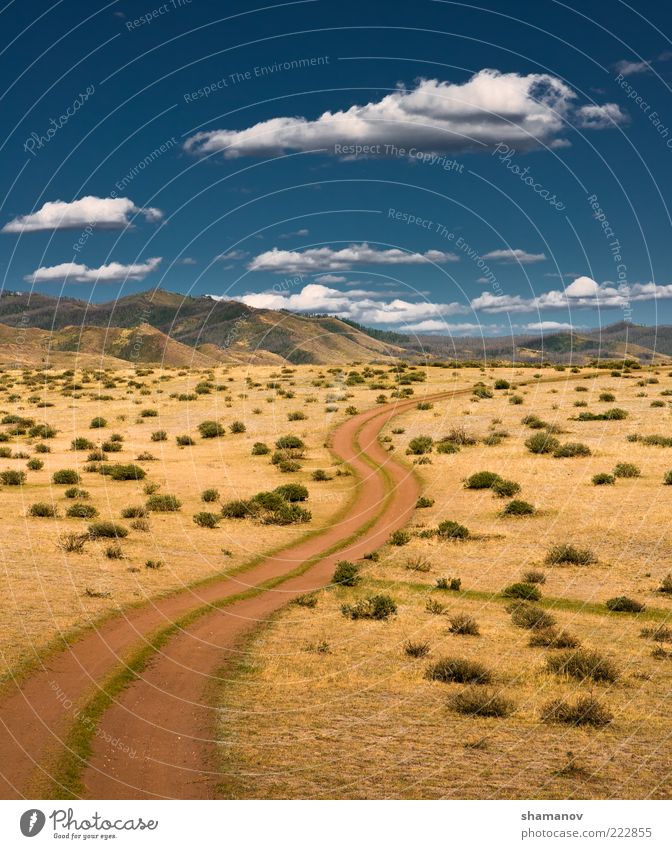 Der Weg zu einem wilden Boden exotisch Ferien & Urlaub & Reisen Ausflug Freiheit Sommer Sonne Berge u. Gebirge Umwelt Natur Landschaft Pflanze Himmel Wolken