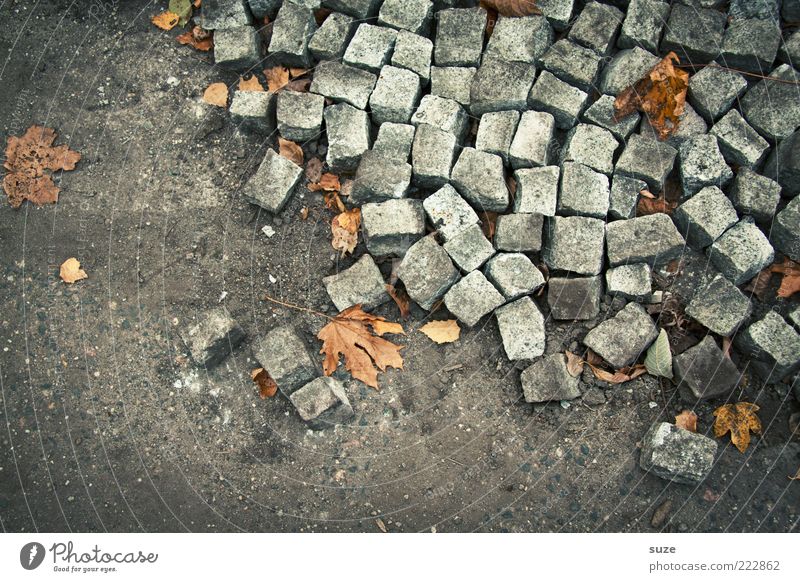 The Stones Baustelle Umwelt Erde Herbst Wege & Pfade Stein eckig kaputt grau chaotisch Ordnung Pflastersteine Kopfsteinpflaster Boden Bodenbelag Straßenbau