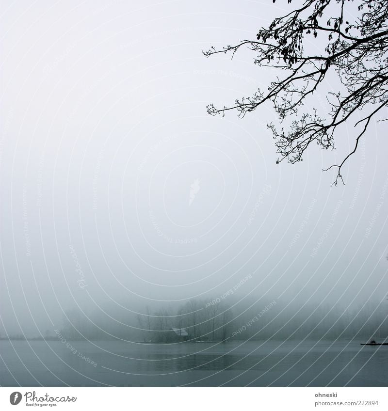 Haus am See Landschaft Winter schlechtes Wetter Nebel Eis Frost Baum Moor Sumpf Menschenleer Hütte dunkel kalt grau Trauer Einsamkeit Natur Gedeckte Farben