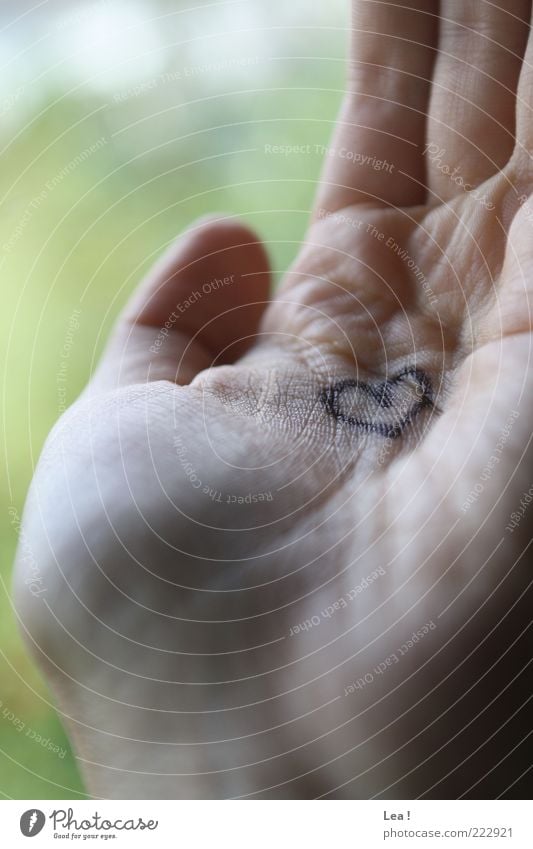 ...in der Hand Finger Handfläche Herz Liebe zeichnen Romantik Kreativität Hautfarbe grün Farbfoto Innenaufnahme Detailaufnahme Tag Licht Schatten