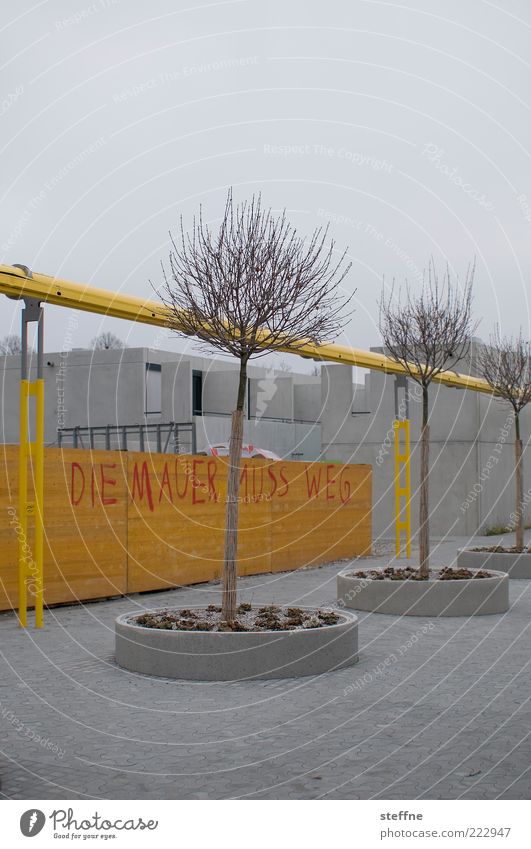 DIE MAUER _ _ _ _ _ _ G Herbst Winter Baum München Haus Mauer Wand Beton trist gelb grau Farbfoto Gedeckte Farben Außenaufnahme Redewendung Graffiti Schmiererei