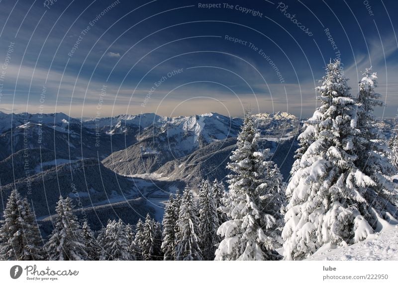 Schneelandschaft Ferne Freiheit Winter Berge u. Gebirge Umwelt Natur Landschaft Klima Schönes Wetter Eis Frost Felsen Alpen Gipfel Schneebedeckte Gipfel blau