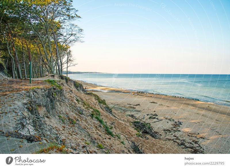 Strand der Ostsee in Orzechowo, Polen Freizeit & Hobby Ferien & Urlaub & Reisen Sommer Meer Wolken Baum Riff wild blau Einsamkeit Idylle Sandstrand Dünen