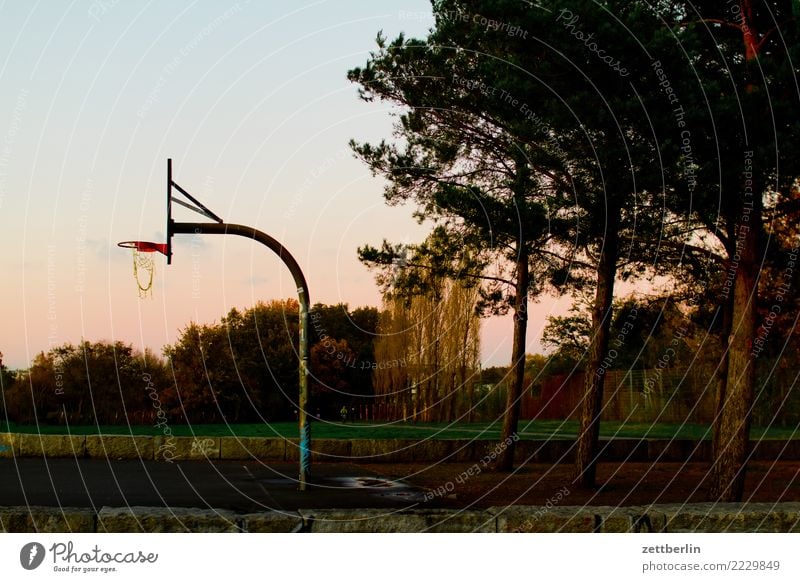 Basketballplatz im Baluschekpark Ballsport baluschekpark Basketballkorb Berlin Dämmerung Himmel Himmel (Jenseits) Korb Park Schöneberg Spielen Sport Herbst