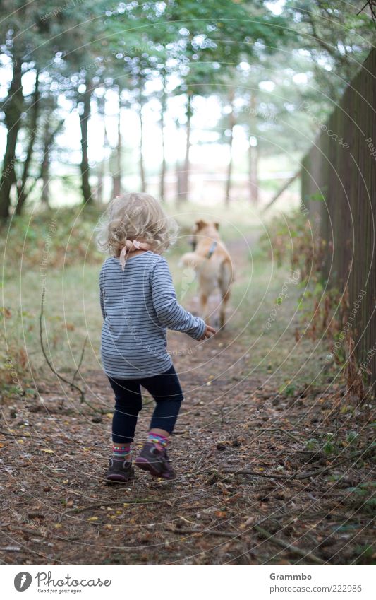 Spaziergang Mensch Kind Kleinkind Mädchen 1 Tier Haustier Hund Freude Gassi gehen Farbfoto Außenaufnahme Wegsehen Rückansicht Ganzkörperaufnahme blond Wand