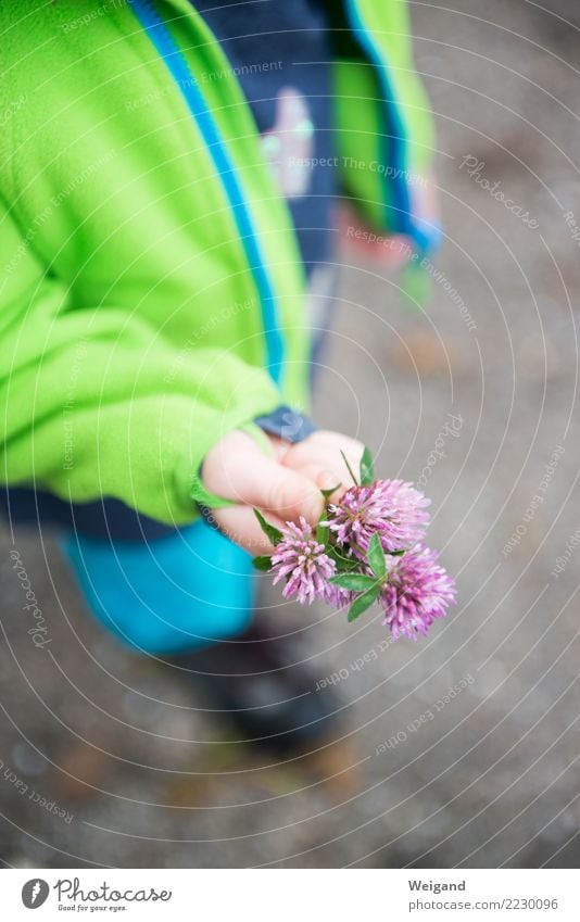 Wiesenfund Sinnesorgane ruhig Meditation Kindererziehung Kindergarten Schulkind Mädchen Junge Geschwister Bruder Schwester Kindheit Hand 1 Mensch Sammlung