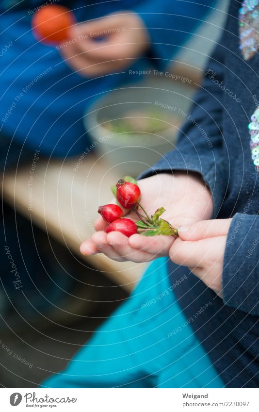 Kostbarkeit Ernährung Erholung ruhig Meditation Duft Freizeit & Hobby Kindererziehung Kindergarten Kleinkind Mädchen Junge Kindheit Herbst einfach Basteln