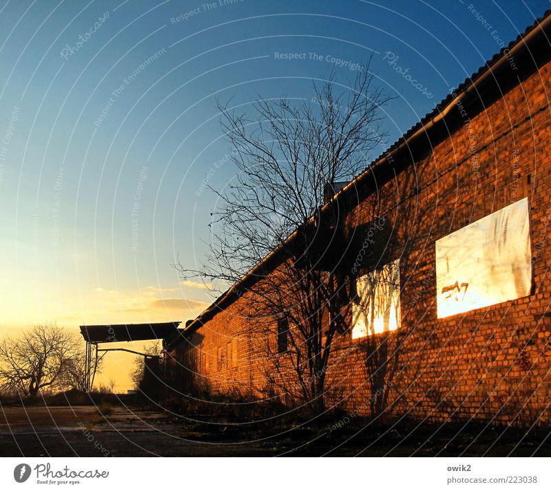 Stillgelegt Himmel Winter Baum Sträucher Bauwerk Gebäude Mauer Wand Dach Backsteinfassade Backsteinhaus dehydrieren trist blau gelb rot Konstruktion orange