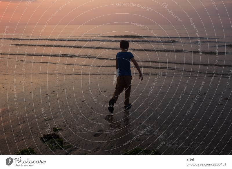 Deine Spuren im Sand Erholung ruhig Ferien & Urlaub & Reisen Tourismus Sommer Sommerurlaub Strand Meer Mensch Kind Kindheit Natur Landschaft Sonnenaufgang