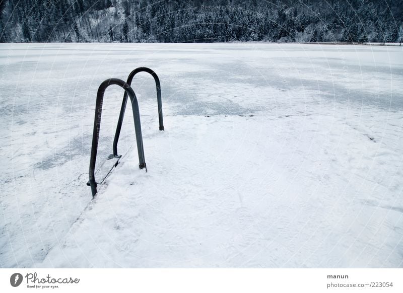 Kaltbaden Winter Schnee Winterurlaub Sportstätten Schwimmbad Natur Landschaft Wasser Eis Frost Wald Seeufer Badesee frieren frisch kalt natürlich Vorfreude