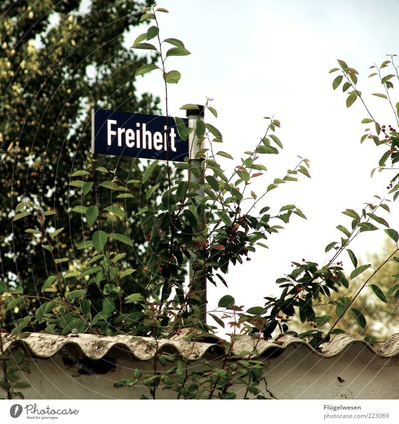 500x Garten Umwelt Natur Klima Wetter Pflanze Baum Sträucher Park Freude Straßennamenschild Mauer Wellblech Himmel Freiheit Farbfoto Außenaufnahme Tag