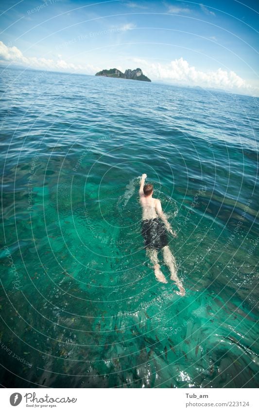 Auf der Suche nach dem Strand? Schwimmen & Baden Ausflug Abenteuer Ferne Freiheit Meer Insel Wellen Sportler Schwimmsport Schwimmsportler Begierde beweglich