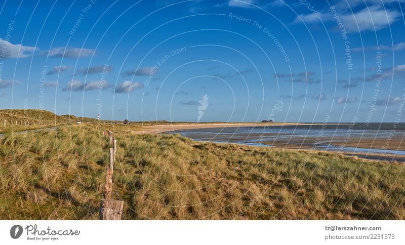 Exponierte Wattflächen im Wattenmeer Strand Landschaft Himmel Herbst Gras Nordsee Leuchtturm Straße Ferne Unendlichkeit blau schlammig Nationalpark Ästuarine