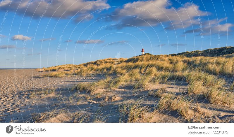 Verlassener Strand mit Leuchtturm im Abendlicht Meer Insel Landschaft Himmel Gras Küste See Gebäude historisch Szene Zobel Düne Meereslandschaft Dunes Punkt