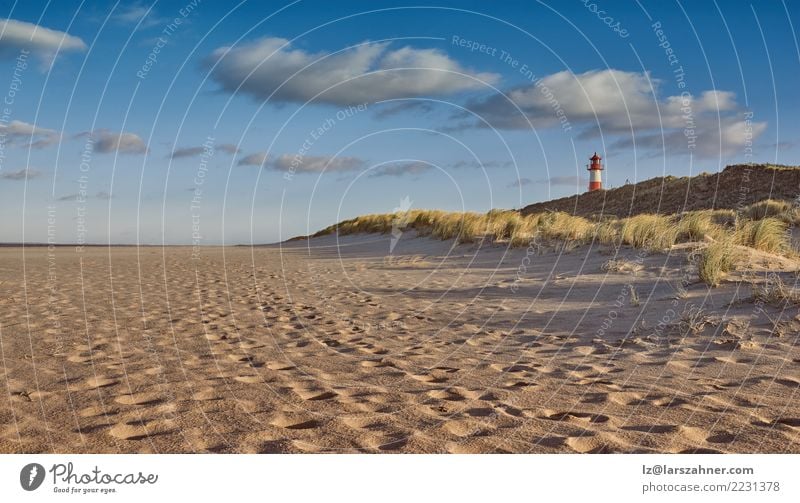 Verlassener Strand mit Leuchtturm im Abendlicht Meer Insel Landschaft Himmel Gras Küste See Gebäude historisch Szene Zobel Düne Meereslandschaft Dunes Punkt