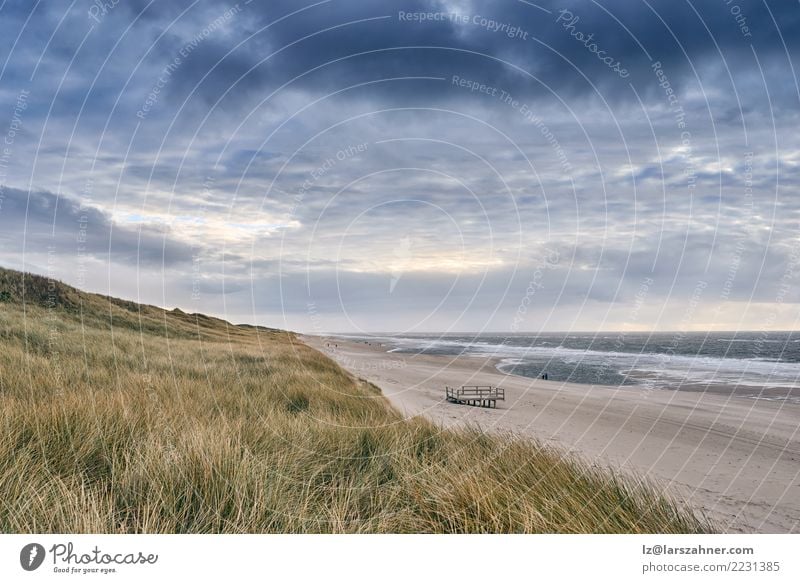 Kleine Plattform auf einem verlassenen sandigen Strand Ferien & Urlaub & Reisen Meer Landschaft Himmel Wolken Herbst Wetter Gras Küste Nordsee Stimmung Dunes