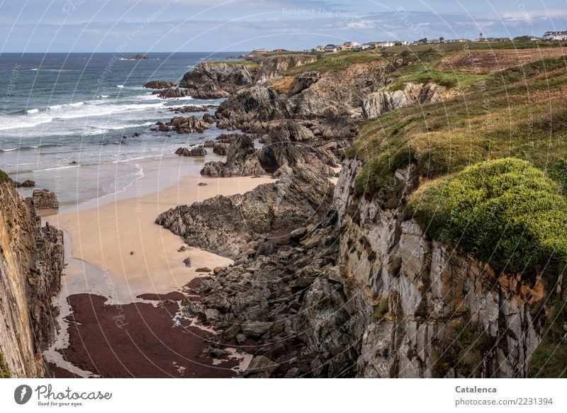 Strandlandschaft  mit Klippen Sommer Sommerurlaub Meer Wellen wandern Landschaft Wasser Horizont Schönes Wetter Gras Sträucher Meeresalgen Algen Ginster Felsen