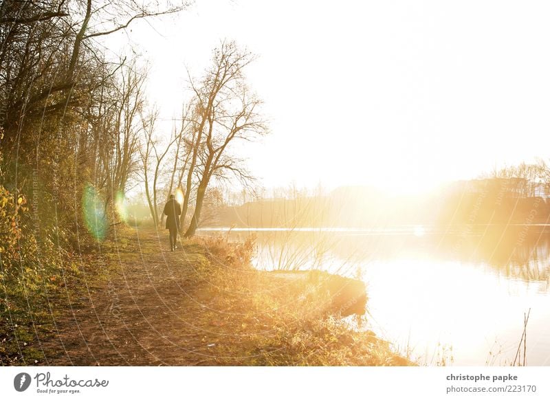 Lichtexplosion am See Freizeit & Hobby Mensch 1 Natur Landschaft Herbst Seeufer Erholung gehen leuchten Unendlichkeit hell träumen Spaziergang Spazierweg