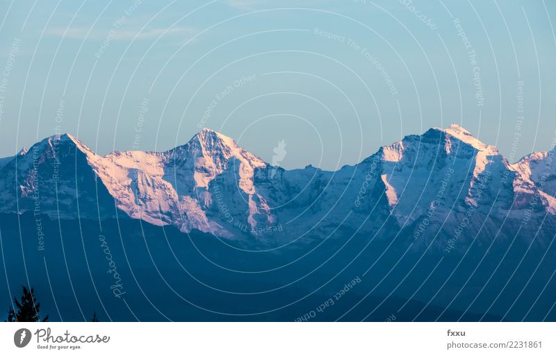 Eiger Mönch und Jungfrau Mönch (Berg) Jungfrau (Berg) Schweiz Felsen Alpen Berge u. Gebirge Grindelwald Natur Schnee Aussicht Berner Oberland nordwand Gletscher