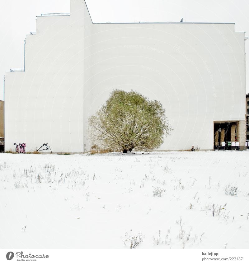 freigestellter baum Winter Wetter Eis Frost Schnee Baum Platz Gebäude Architektur weiß Baugrundstück Freiraum Wiese Schneedecke Potsdamer Platz Farbfoto