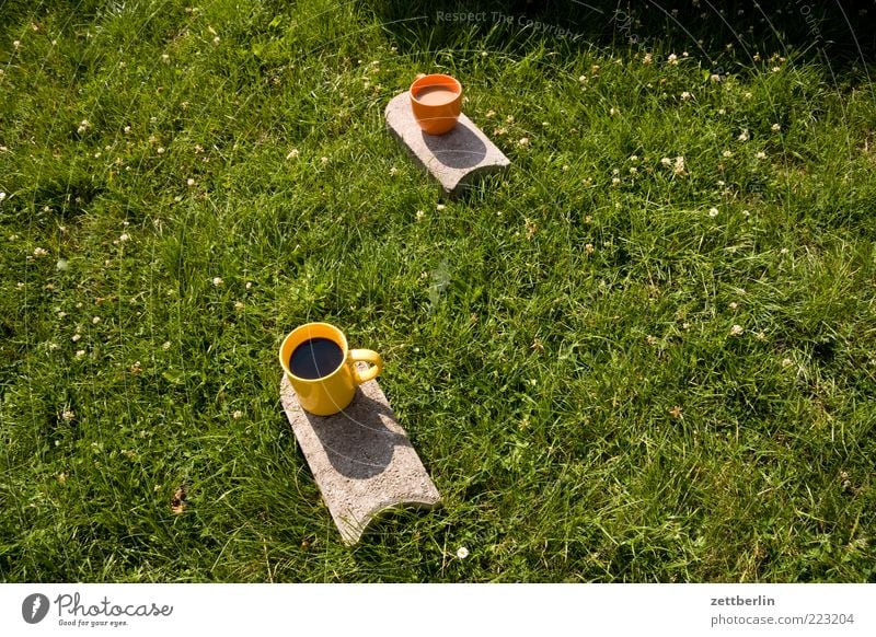 Ein Kaffee schwarz, ein Kaffee mit Milch trinken Heißgetränk Tasse Sommer Pflanze Gras Garten Park Wiese frei Freundlichkeit lecker Juni Picknick Nachmittag