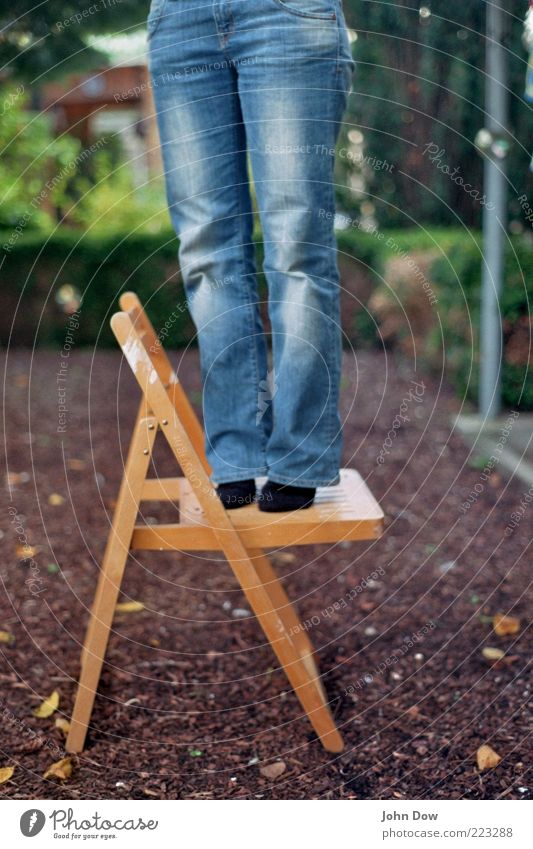 vom streben nach glück Frau Erwachsene Beine Fuß 1 Mensch Schönes Wetter Sträucher Garten Hose Jeanshose stehen Neugier Zufriedenheit Lebensfreude Zehenspitze