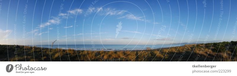 seaside Natur Sand Wasser Himmel Wolken Sommer Herbst Schönes Wetter Gras Wellen Küste Strand Mittelmeer Toskana Italien blau Aussicht Stranddüne Dünengras Meer