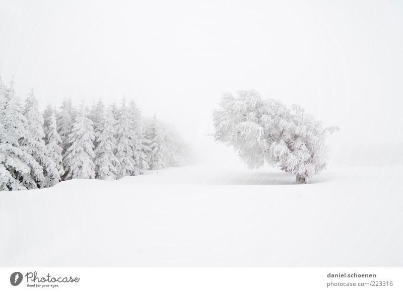 ... und jetzt ist leider alles weg !! Ferien & Urlaub & Reisen Winter Schnee Winterurlaub Berge u. Gebirge Umwelt Natur Landschaft Klima Wind Nebel Eis Frost