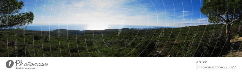 Mediterraner Panoramablick auf das Meer Ferien & Urlaub & Reisen Freiheit Sonne Umwelt Natur Landschaft Pflanze Erde Wasser Himmel Horizont Sonnenlicht