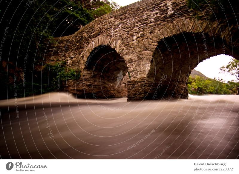 Irish bridge Wasser Sommer Flussufer braun Brücke Stein alt fließen Strömung Republik Irland historisch Dynamik Mittelalter Farbfoto Außenaufnahme