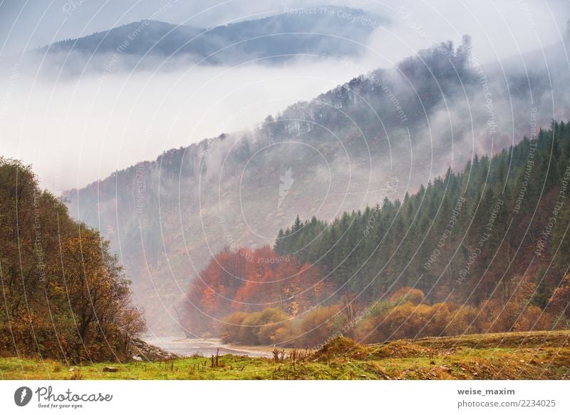 Herbstregen und -nebel in den Bergen. Nebel über dem Fluss Ferien & Urlaub & Reisen Tourismus Ausflug Abenteuer Ferne Freiheit Expedition Camping