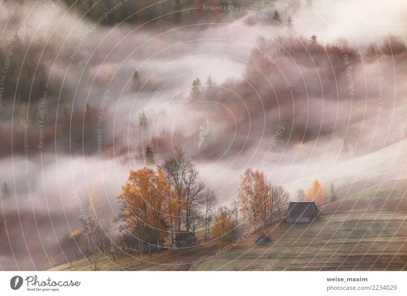 Bergdorf. Wolken aus Nebel und Rauch. Herbstmorgen schön Ferien & Urlaub & Reisen Berge u. Gebirge wandern Haus Garten Natur Landschaft Erde Baum Gras Wiese