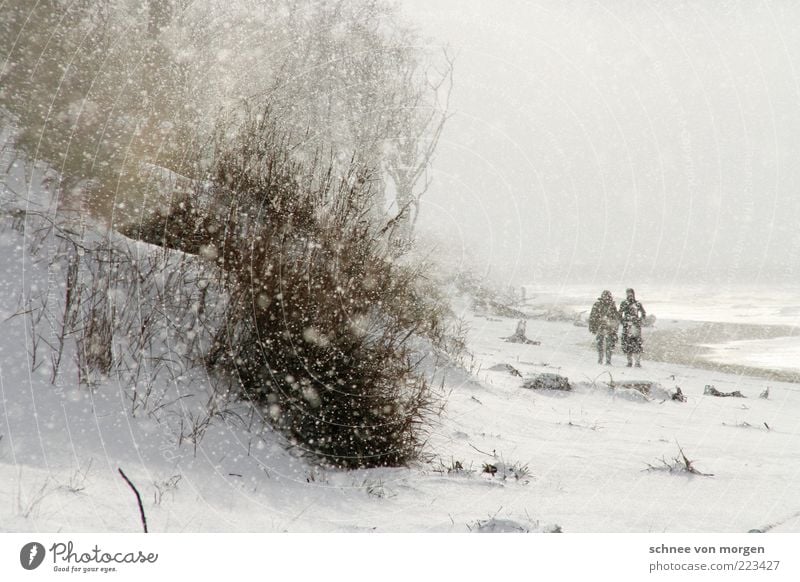 winterwunderweltenweitundbreit Mensch 2 Umwelt Natur Landschaft Wasser Wassertropfen Himmel Winter schlechtes Wetter Wind Eis Frost Schnee Schneefall Pflanze