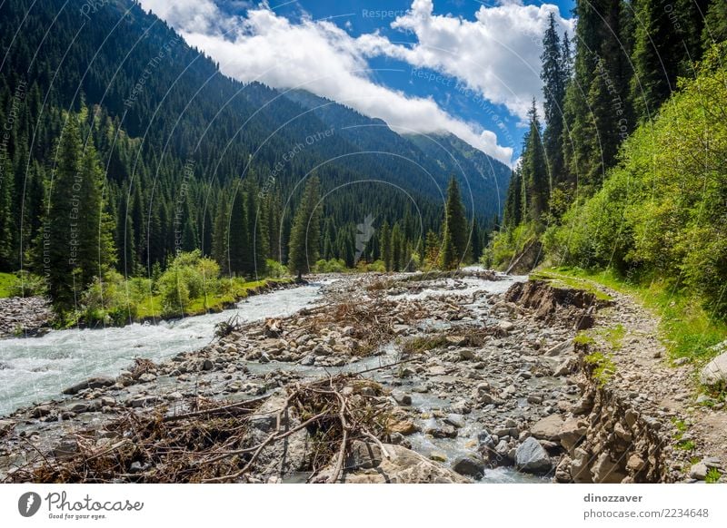 Fluss in Nationalpark Karakol, Kirgisistan Sommer Berge u. Gebirge Natur Landschaft Himmel Wolken Baum Gras Wald Hügel Felsen Schlucht Verkehr Straße grün Asien