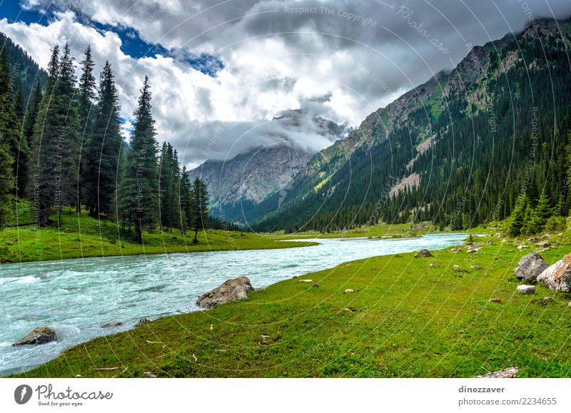 Atemberaubende Landschaft des Karakol Nationalparks, Kirgisistan Sommer Berge u. Gebirge Natur Himmel Wolken Baum Gras Park Wald Hügel Felsen Schlucht Fluss