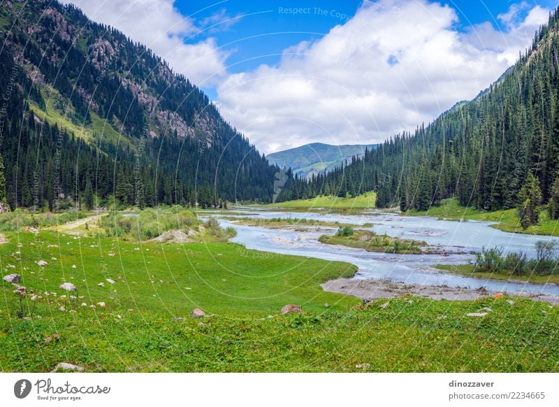 Atemberaubende Landschaft des Karakol Nationalparks, Kirgisistan Sommer Berge u. Gebirge Natur Himmel Wolken Baum Gras Park Wald Hügel Felsen Schlucht Fluss