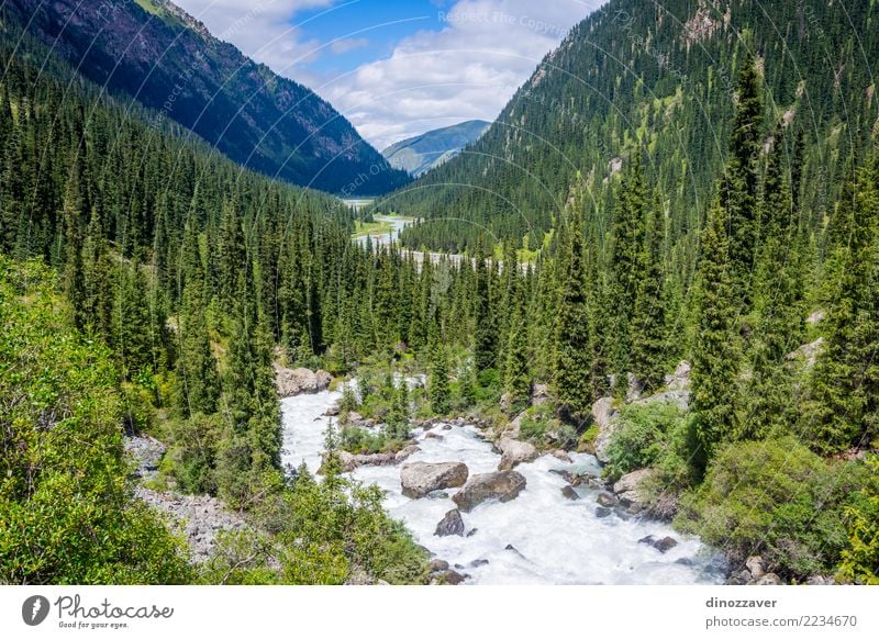 Fluss in Nationalpark Karakol, Kirgisistan Sommer Berge u. Gebirge Natur Landschaft Himmel Wolken Baum Gras Park Wald Hügel Felsen Schlucht Verkehr Straße grün