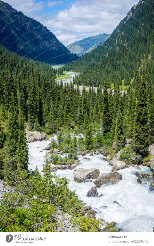 Brücke über den Fluss im Nationalpark Karakol Sommer Berge u. Gebirge Natur Landschaft Wolken Baum Park Wald Hügel Felsen Schlucht Verkehr Straße Holz Abenteuer