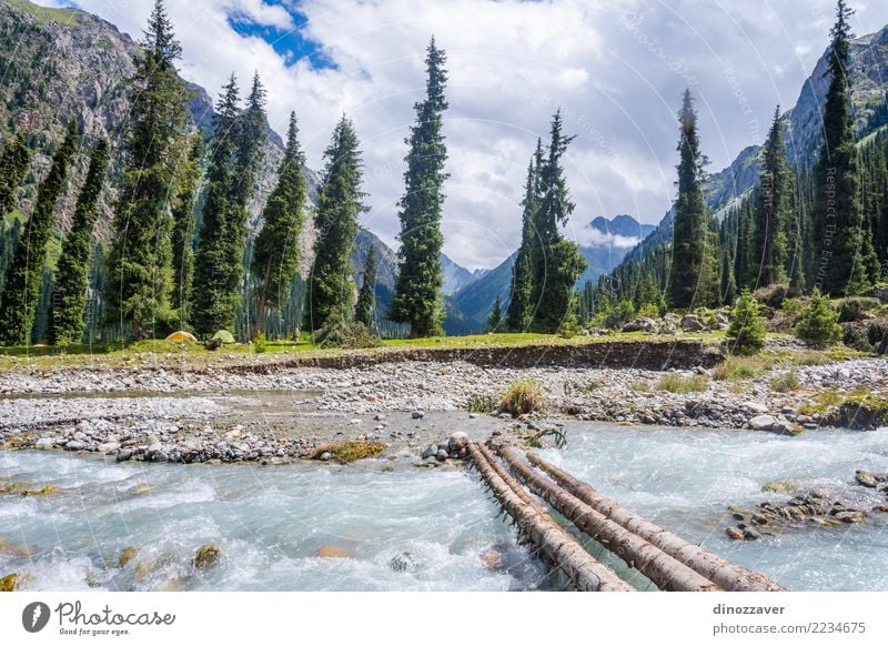 Brücke über den Fluss im Nationalpark Karakol Sommer Berge u. Gebirge Natur Landschaft Wolken Baum Park Wald Hügel Felsen Schlucht Verkehr Straße Holz gehen