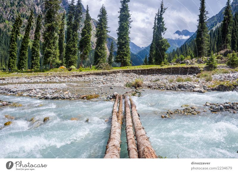 Karakol Nationalpark, Kirgisistan Sommer Berge u. Gebirge Natur Landschaft Himmel Wolken Baum Gras Park Wald Hügel Felsen Schlucht Fluss Verkehr Straße grün