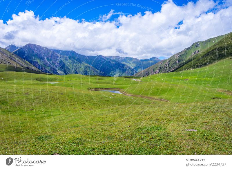 Ansicht über Tal vom Pferd zurück, Kirgisistan Lifestyle Erholung Freizeit & Hobby Ferien & Urlaub & Reisen Sommer Berge u. Gebirge Sport Natur Landschaft Tier