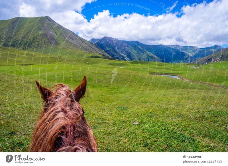 Ansicht über Tal vom Pferd zurück, Kirgisistan Lifestyle Erholung Freizeit & Hobby Ferien & Urlaub & Reisen Sommer Berge u. Gebirge Sport Natur Landschaft Tier