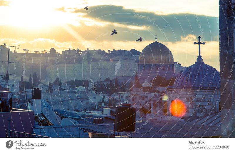 Guten Morgen Jerusalem Palästina Asien Stadt Stadtzentrum Altstadt Kirche Dom Bauwerk Dach Kuppeldach Sehenswürdigkeit Wahrzeichen Felsendom Glück Fröhlichkeit